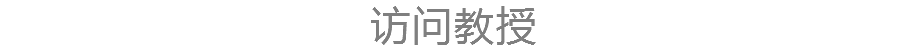 访问教授